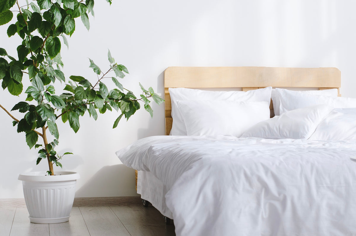 Full 4-pieces White Bed Linen Cotton Set-Bedding-Okiya Studio